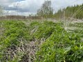 Продажа земельного участка: п. Большой Исток, ул. Садовая, 11А (городской округ Сысертский) - Фото 2