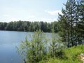 Продажа земельного участка: г. Первоуральск, ул. ТСН Серебряные сосны (городской округ Первоуральск) - Фото 5