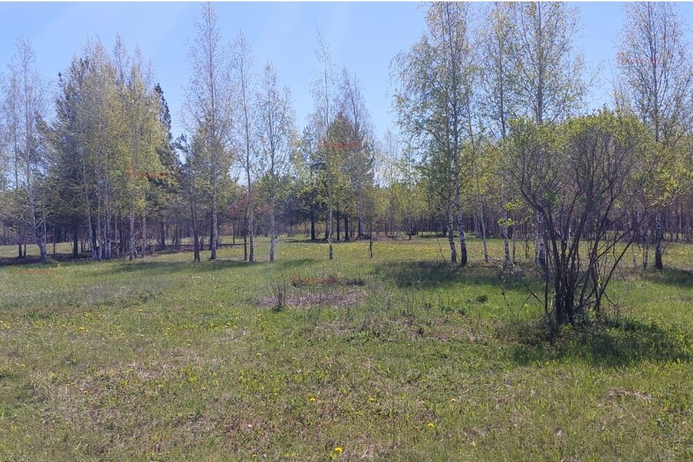 поселок городского типа Белоярский, к/с Авиатор, ул. Промышленная (городской округ Белоярский) - фото сада (2)
