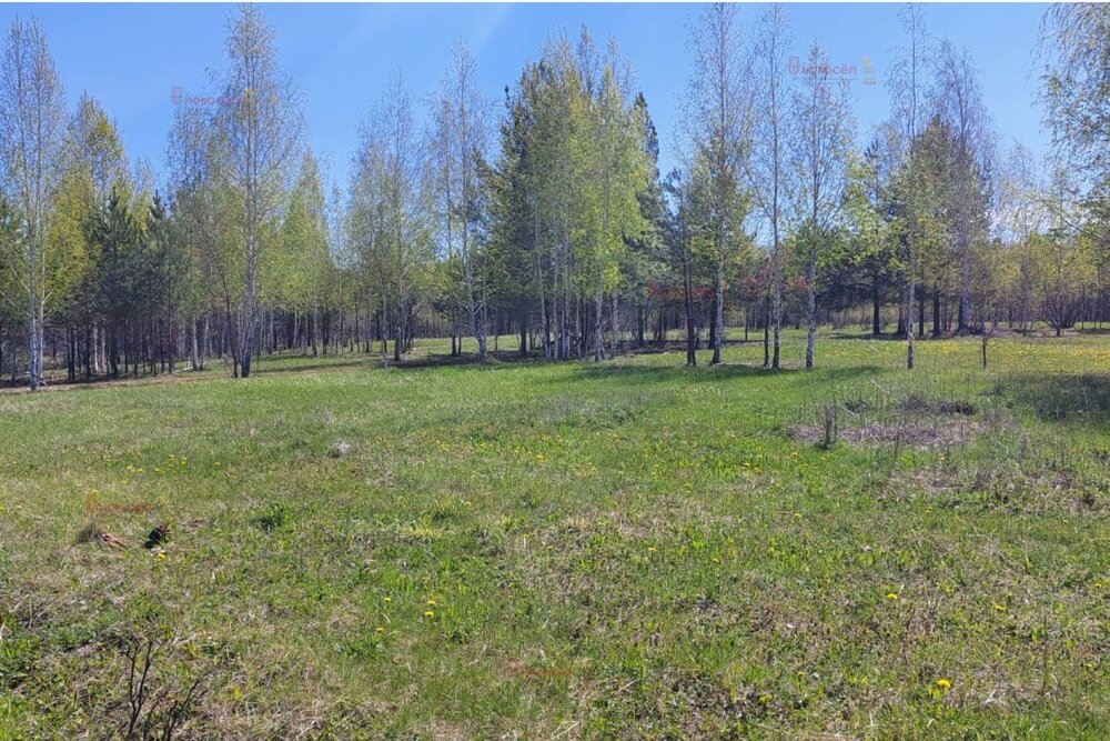 поселок городского типа Белоярский, к/с Авиатор, ул. Промышленная (городской округ Белоярский) - фото сада (3)