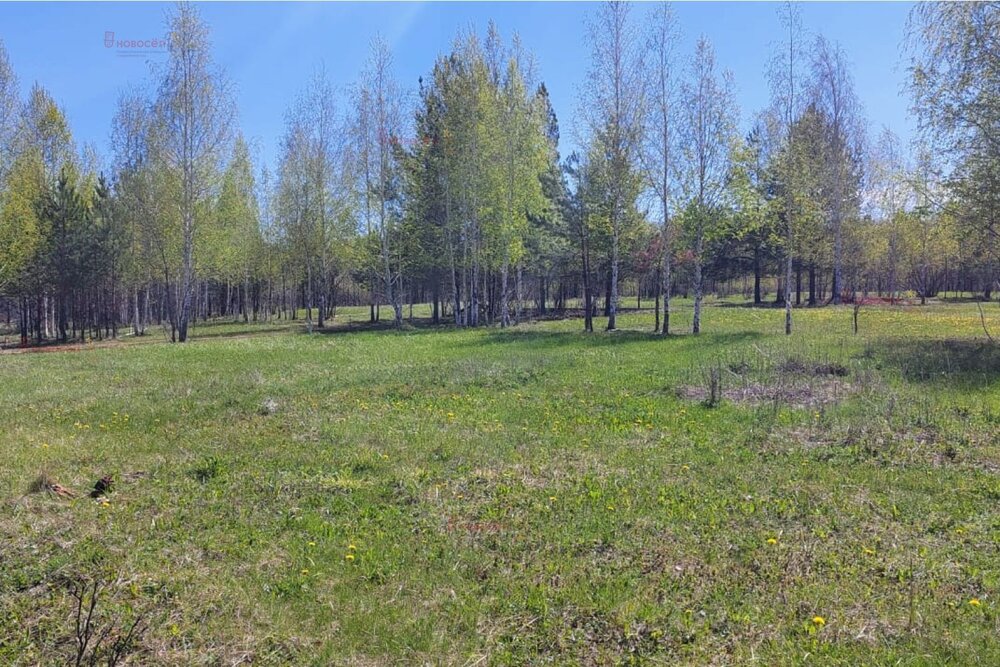поселок городского типа Белоярский, к/с Авиатор, ул. Промышленная (городской округ Белоярский) - фото сада (5)