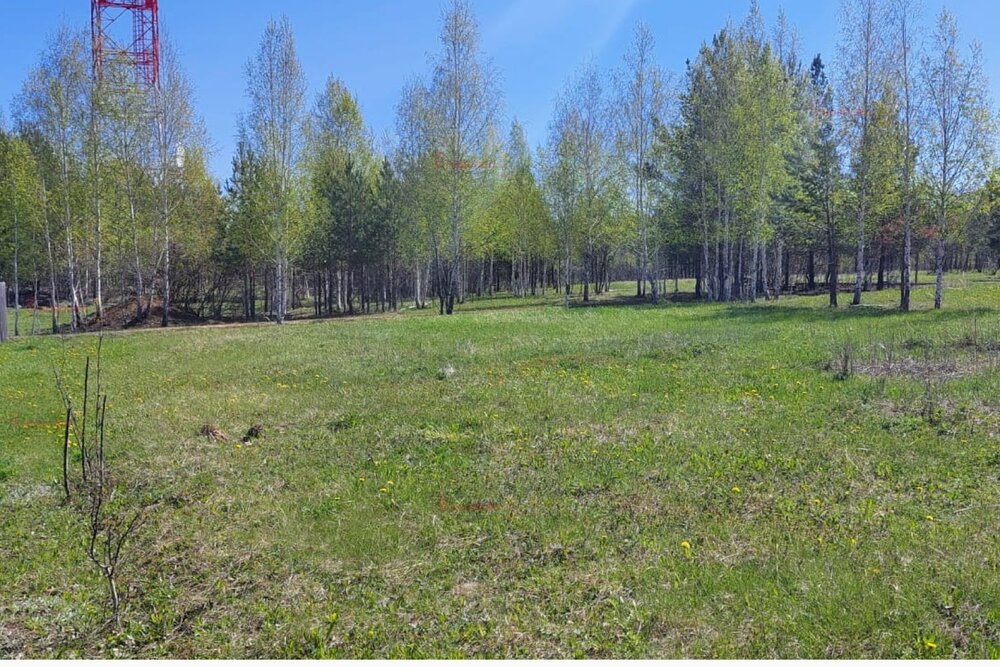 поселок городского типа Белоярский, к/с Авиатор, ул. Промышленная (городской округ Белоярский) - фото сада (6)