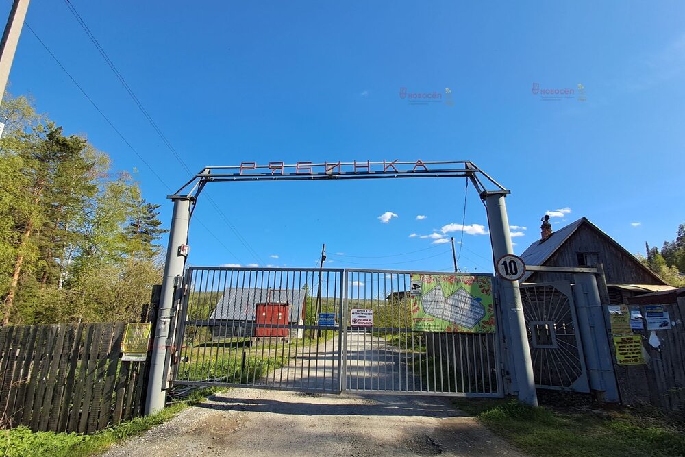 г. Ревда, к/с Рябинка (городской округ Ревда) - фото сада (6)