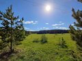 Продажа садового участка: г. Ревда, к/с Рябинка (городской округ Ревда) - Фото 7