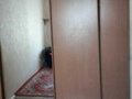 Аренда комнаты: Екатеринбург, ул. Парковый, 14 (Пионерский) - Фото 3