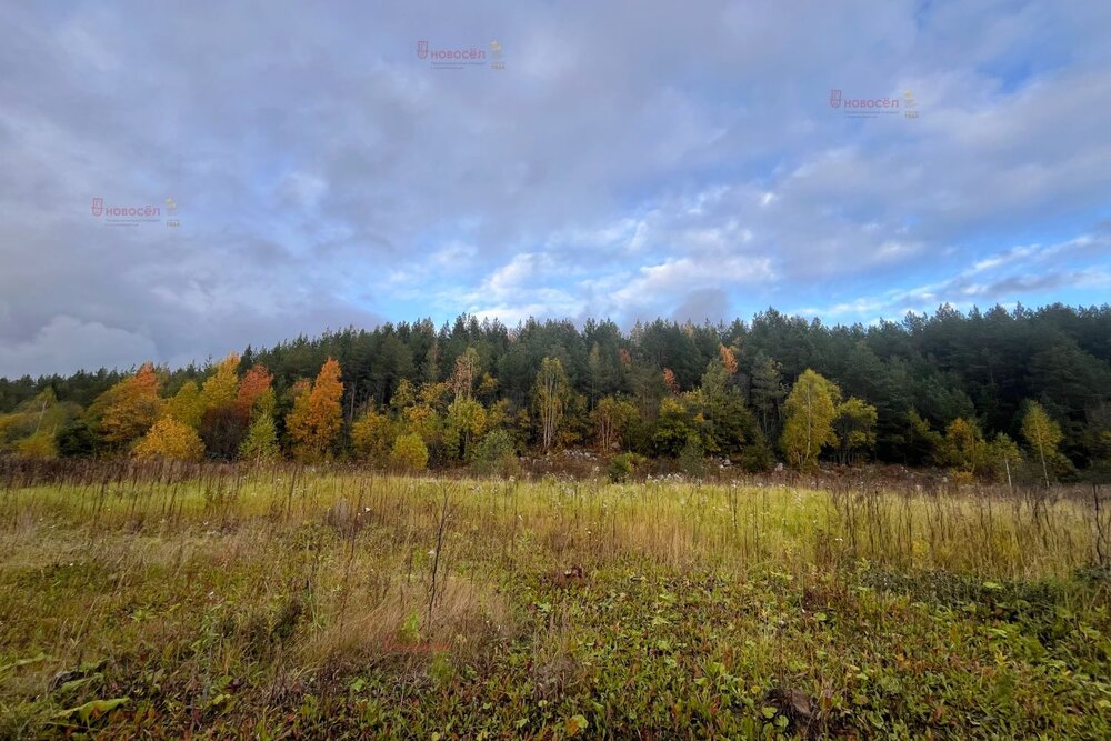 пгт. Билимбай, ул. Некрасова, 66 (городской округ Первоуральск) - фото земельного участка (3)