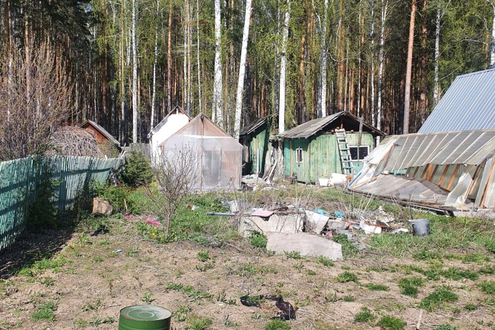 Екатеринбург, СНТ Жилищник-1 - фото сада (4)