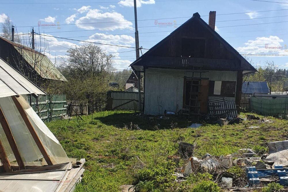 Екатеринбург, СНТ Жилищник-1 - фото сада (5)