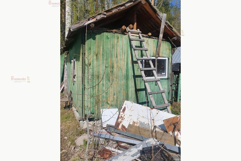 Екатеринбург, СНТ Жилищник-1 - фото сада (8)