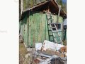 Продажа садового участка: Екатеринбург, СНТ Жилищник-1 - Фото 8
