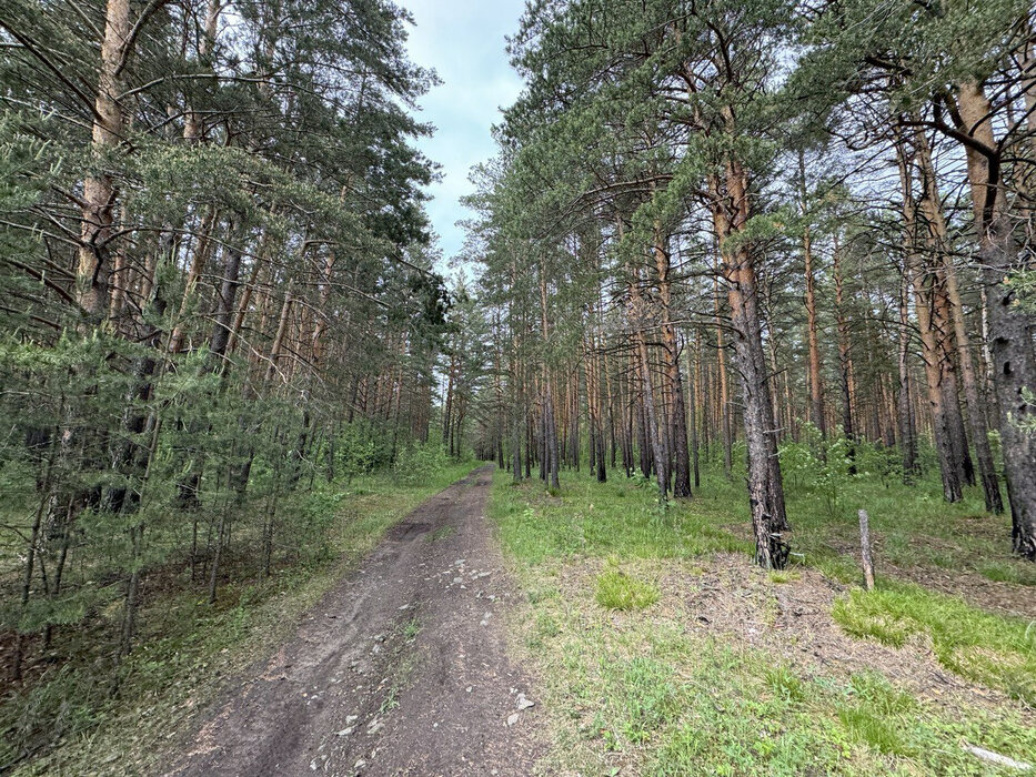 д. Токарево (городской округ Сысертский) - фото земельного участка (3)
