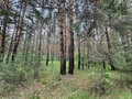 Продажа земельного участка: д. Токарево (городской округ Сысертский) - Фото 7