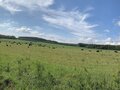 Продажа земельного участка: к. п. Расторгуевъ, ул. Вознесенский, 20 (городской округ Сысертский) - Фото 7