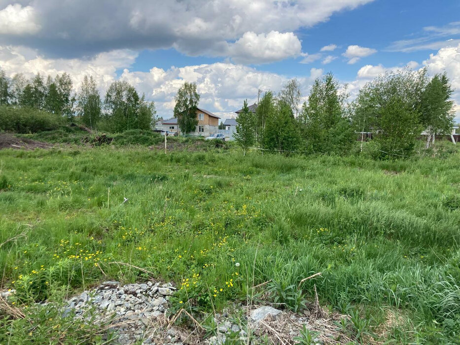 Екатеринбург, ул. Редколесья (Горный щит) - фото земельного участка (2)