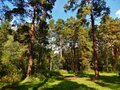Продажа земельного участка: п. Гагарский, ул. 3-я Парковая, 12 (городской округ Белоярский) - Фото 1
