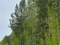 Продажа земельного участка: п. Гагарский, ул. 3-я Парковая, 12 (городской округ Белоярский) - Фото 3