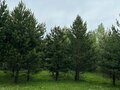 Продажа земельного участка: п. Гагарский, ул. 2-я Парковая, 66 (городской округ Белоярский) - Фото 1