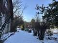 Продажа садового участка: п. Рассоха, коллективный сад Ясень, уч. 23 (городской округ Белоярский) - Фото 4