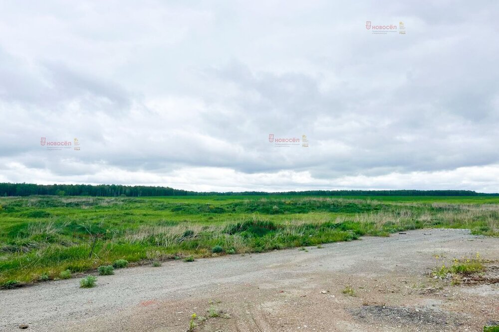 п. Чернокоровское (городской округ Богданович) - фото земельного участка (5)