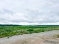 Продажа земельного участка: п. Чернокоровское (городской округ Богданович) - Фото 5