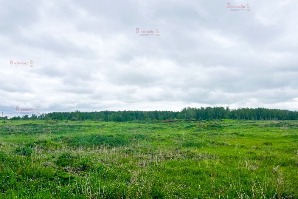п. Чернокоровское (городской округ Богданович) - фото земельного участка (6)