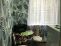 Аренда квартиры: Екатеринбург, ул. Белореченская, 27/1 (Юго-Западный) - Фото 5