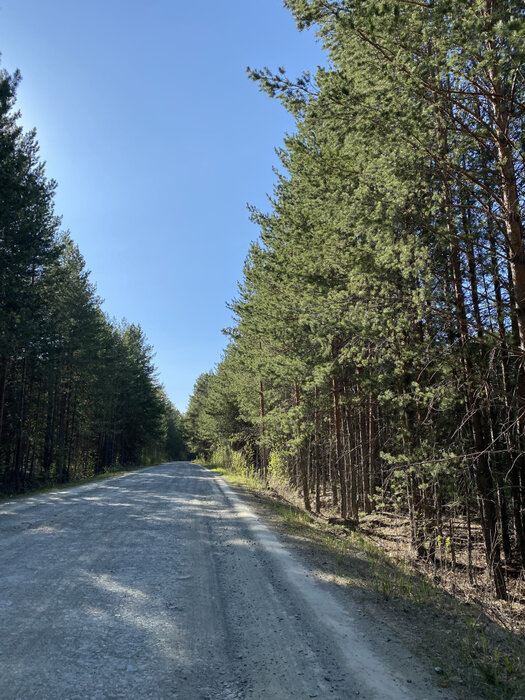 п. Бобровский, ул. Бобровские дачи, 25 (городской округ Сысертский) - фото земельного участка (7)