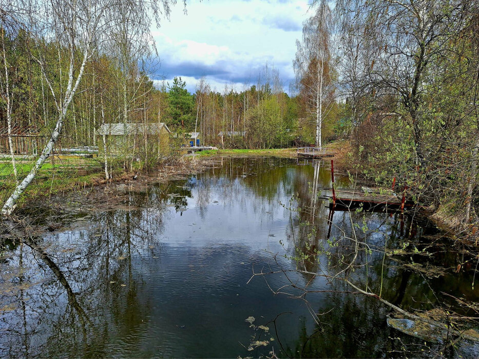 Екатеринбург, к/с Хрустальный, уч. 173 (Палкинский торфяник) - фото сада (7)