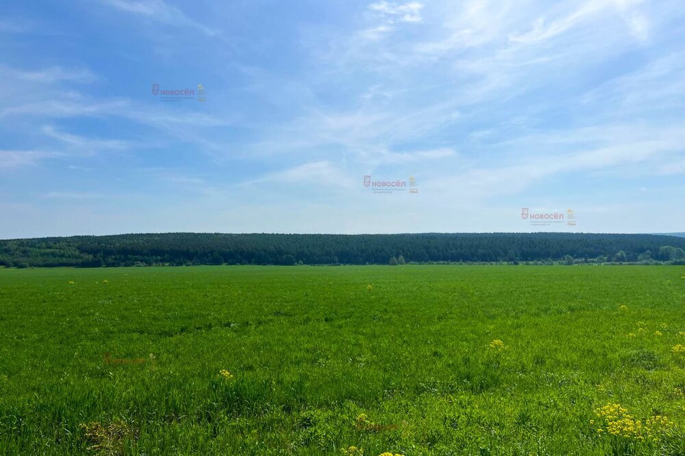п. Уфимский (городской округ Ачитский) - фото земельного участка (3)