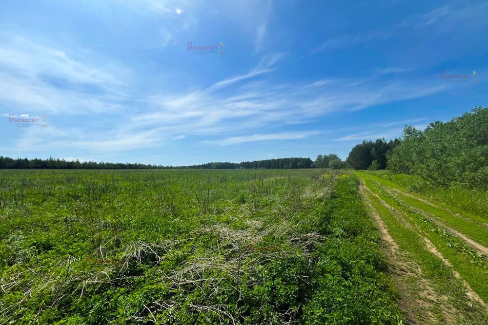 п. Уфимский (городской округ Ачитский) - фото земельного участка (4)