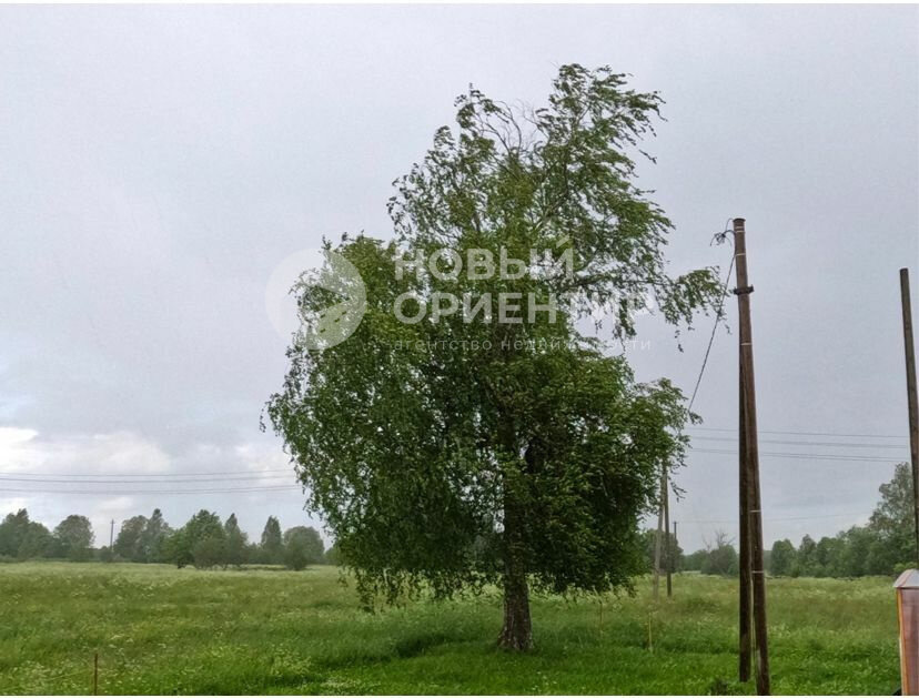 п. Чернобровкина, ул. Ленина (городской округ Белоярский) - фото земельного участка (3)