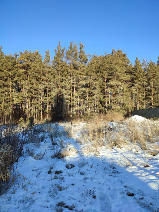г. Березовский, ул. Бажова, 37 (городской округ Березовский) - фото земельного участка (5)