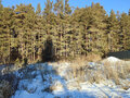Продажа земельного участка: г. Березовский, ул. Бажова, 37 (городской округ Березовский) - Фото 5