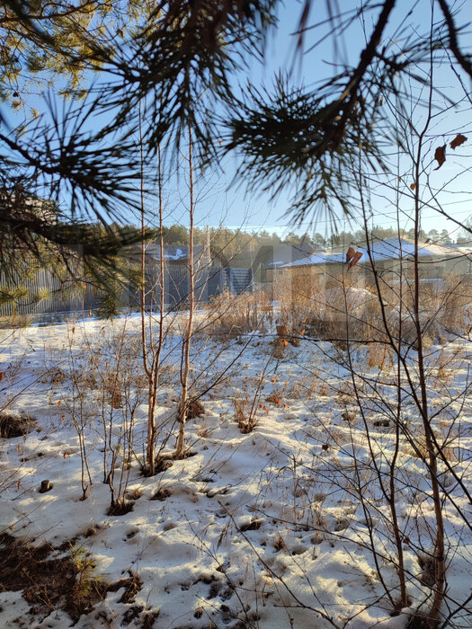 г. Березовский, ул. Бажова, 37 (городской округ Березовский) - фото земельного участка (6)