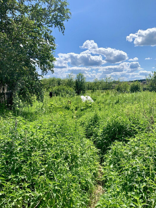 д. Верхние Таволги, ул. Мира, 28 (городской округ Невьянский) - фото дома (3)