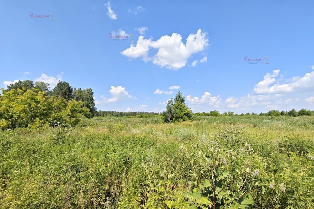 г. Арамиль, ул. Арамильский тракт, 4 км (городской округ Арамильский) - фото земельного участка (3)