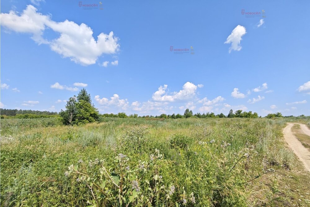 г. Арамиль, ул. Арамильский тракт, 4 км (городской округ Арамильский) - фото земельного участка (4)