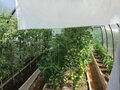 Продажа дома: г. Первоуральск, ул. СТ 