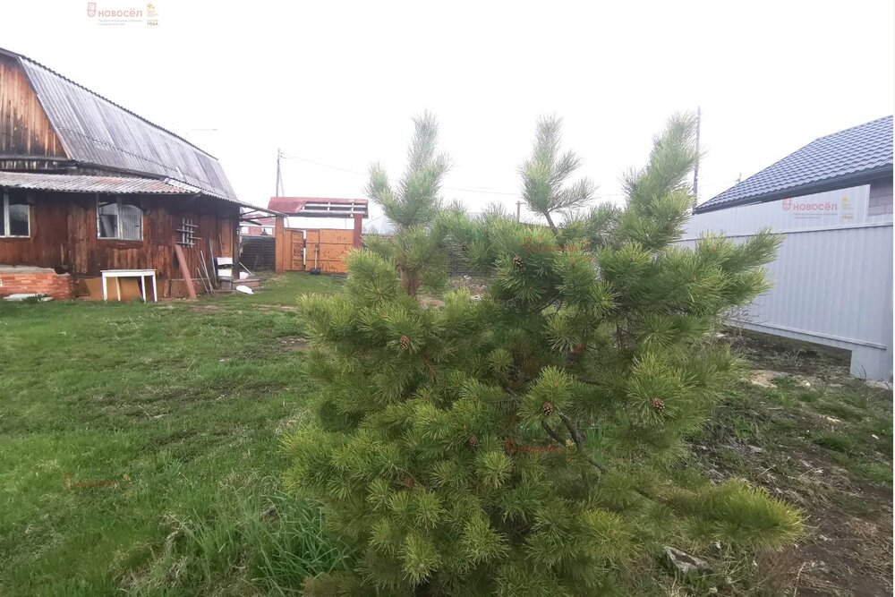 с. Кадниково, ул. Карла Маркса, 115 (городской округ Сысертский) - фото дома (3)