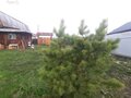 Продажа дома: с. Кадниково, ул. Карла Маркса, 115 (городской округ Сысертский) - Фото 3
