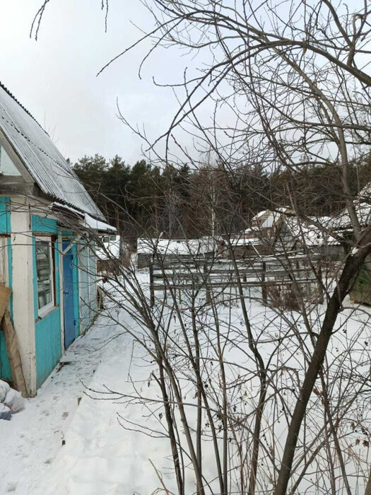 г. Первоуральск, к/с СНТ, уч. 22 (городской округ Первоуральск) - фото сада (3)