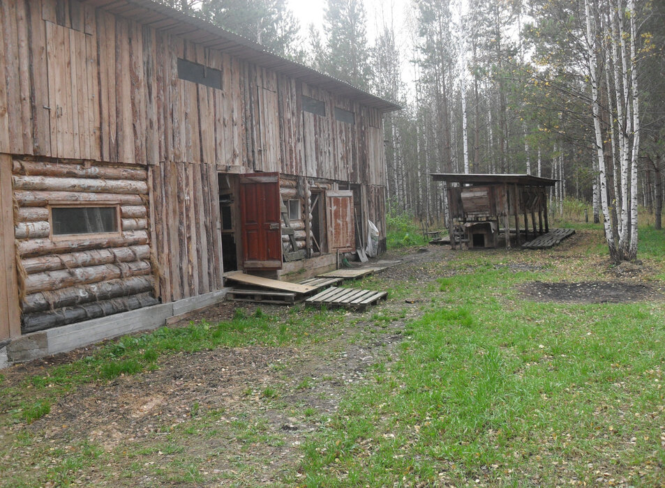 с. Абрамово (городской округ Сысертский) - фото земельного участка (5)
