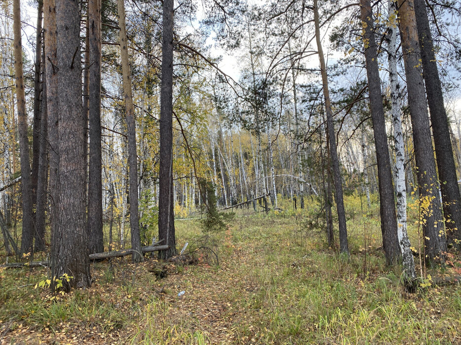 к.п. Заповедник, ул. Жаворонок, 16 (городской округ Сысертский, п. Габиевский) - фото земельного участка (1)