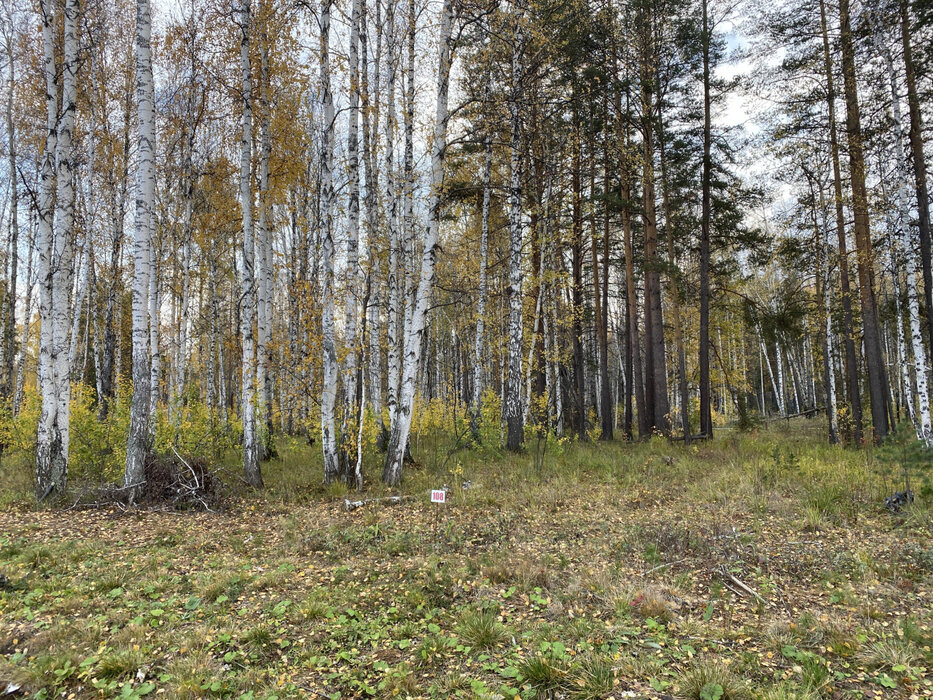 к.п. Заповедник, ул. Жаворонок, 16 (городской округ Сысертский, п. Габиевский) - фото земельного участка (2)