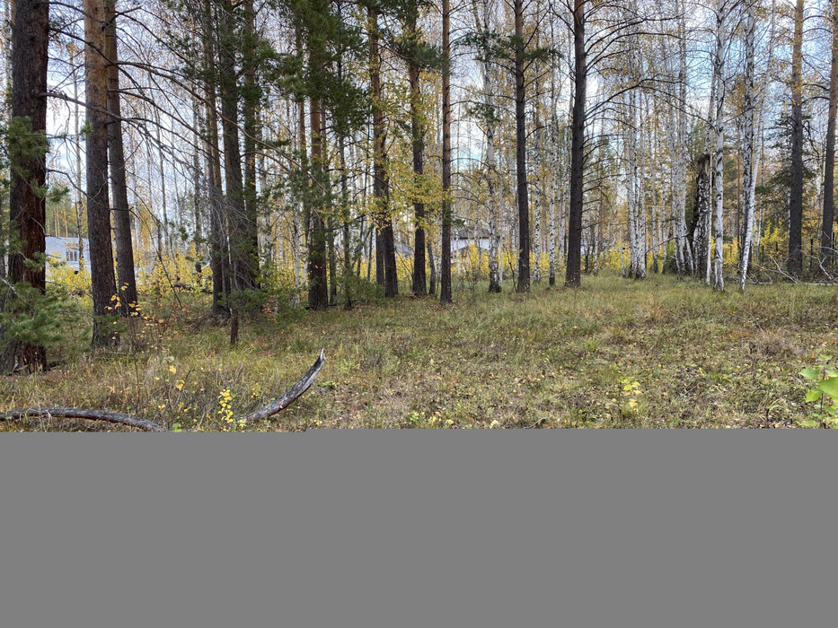 к.п. Заповедник, ул. Жаворонок, 16 (городской округ Сысертский, п. Габиевский) - фото земельного участка (4)