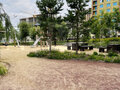 Аренда квартиры: Екатеринбург, ул. Раевского, 20 (Втузгородок) - Фото 2