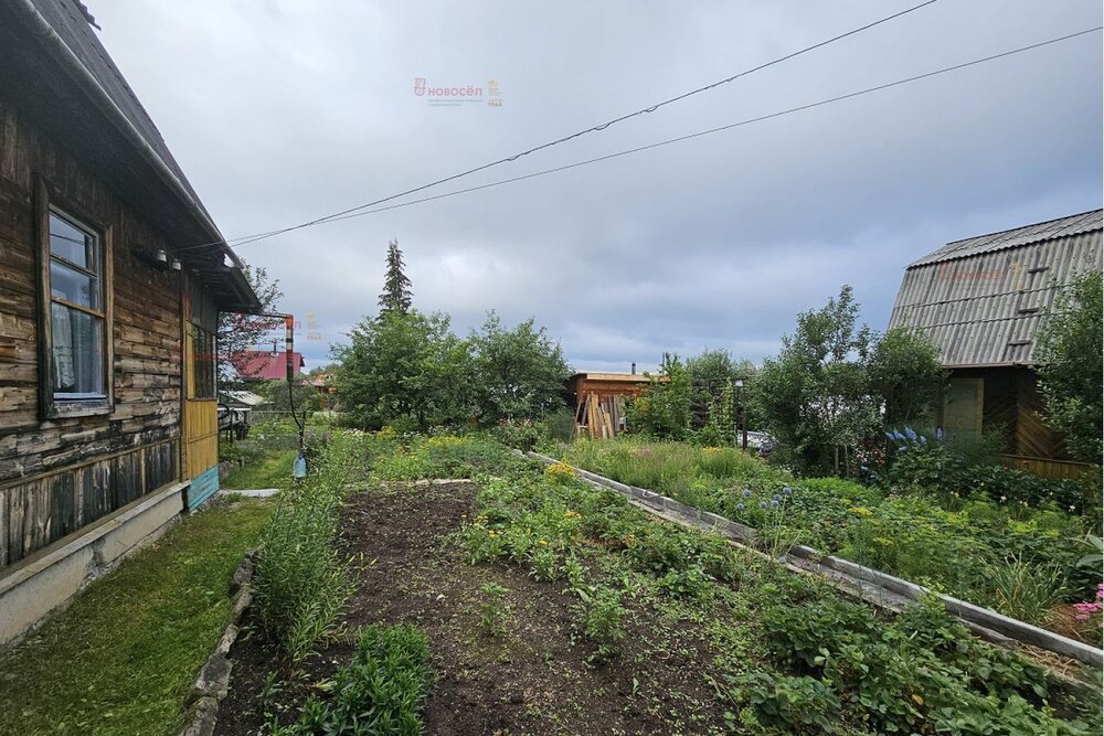 п. Сагра, СНТ Радиотехник (городской округ Верхняя Пышма) - фото сада (2)