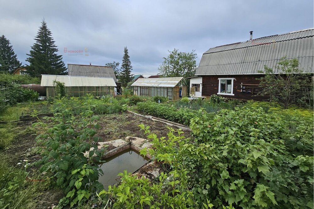 п. Сагра, СНТ Радиотехник (городской округ Верхняя Пышма) - фото сада (4)