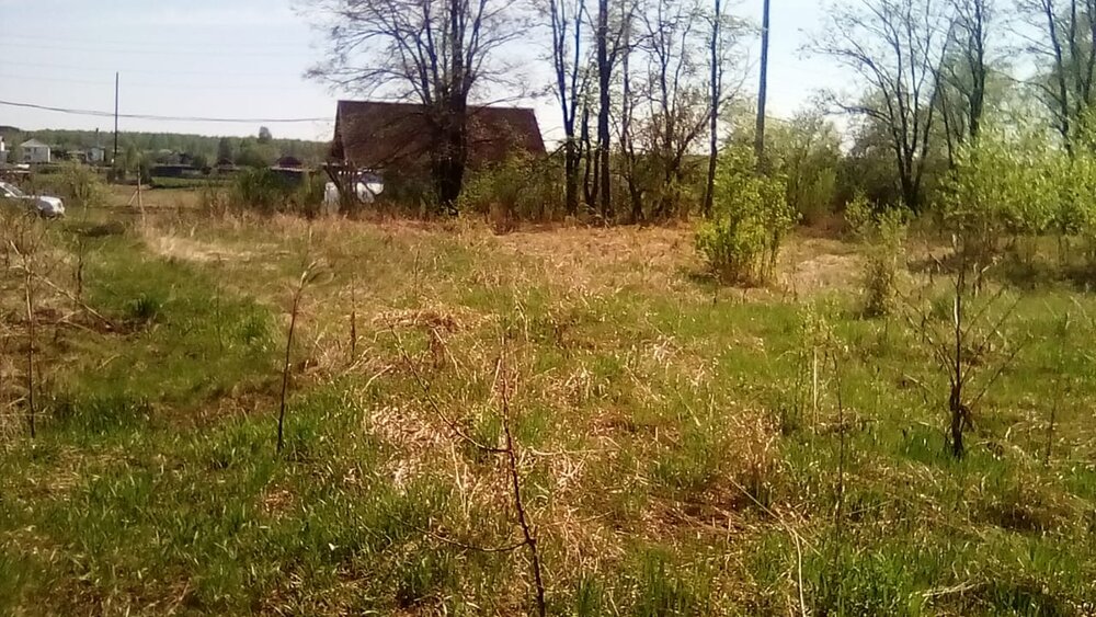 д. Шипицына, ул. Школьная, 1а (Камышловский район) - фото земельного участка (6)