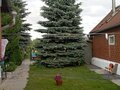Продажа дома: c. Шурала, ул. Пролетарская, 47 (городской округ Невьянский) - Фото 4